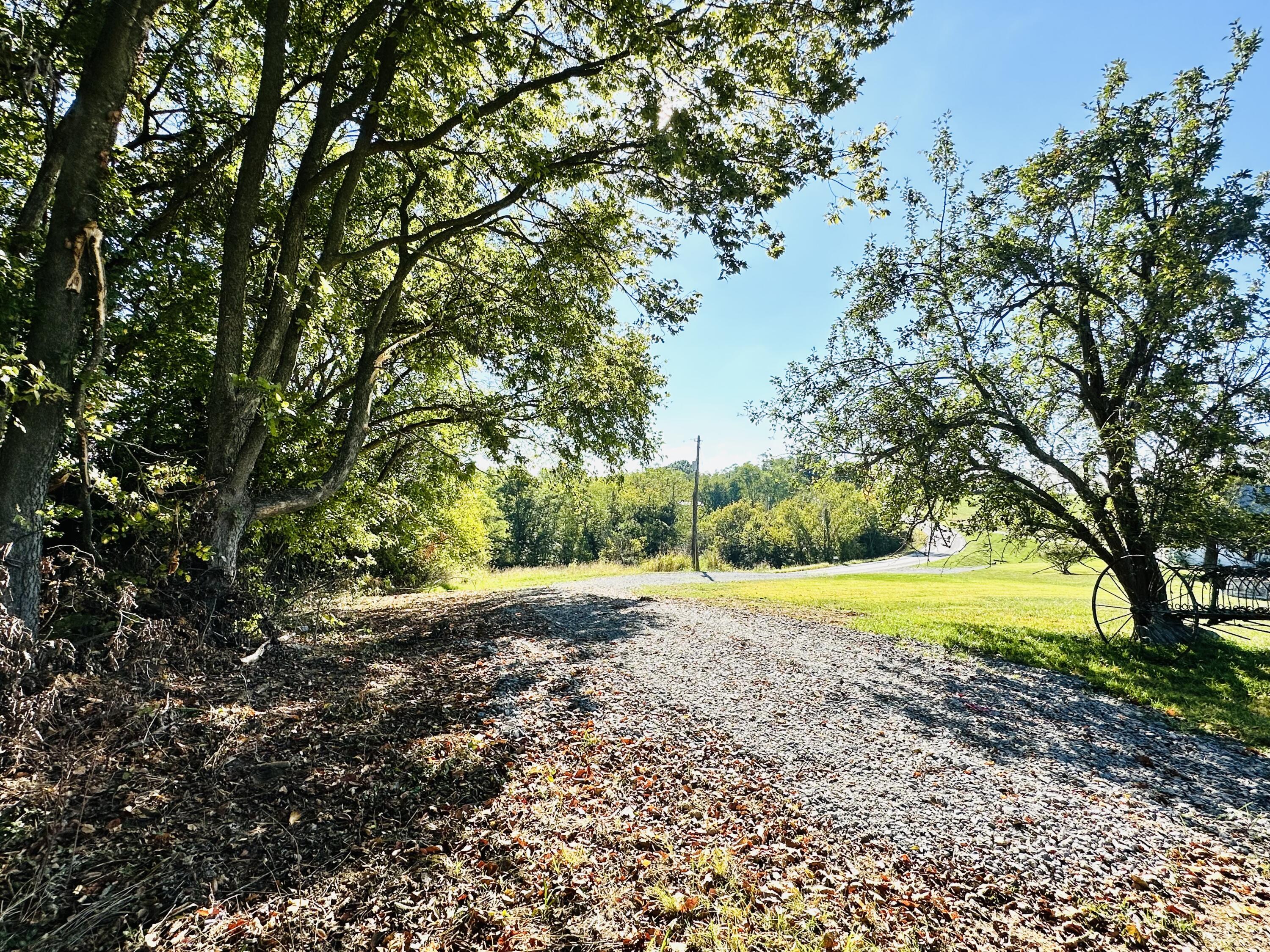 203 Chaplin Road Willisburg, KY 40078 - Photo 12 of 77 IMG_8145