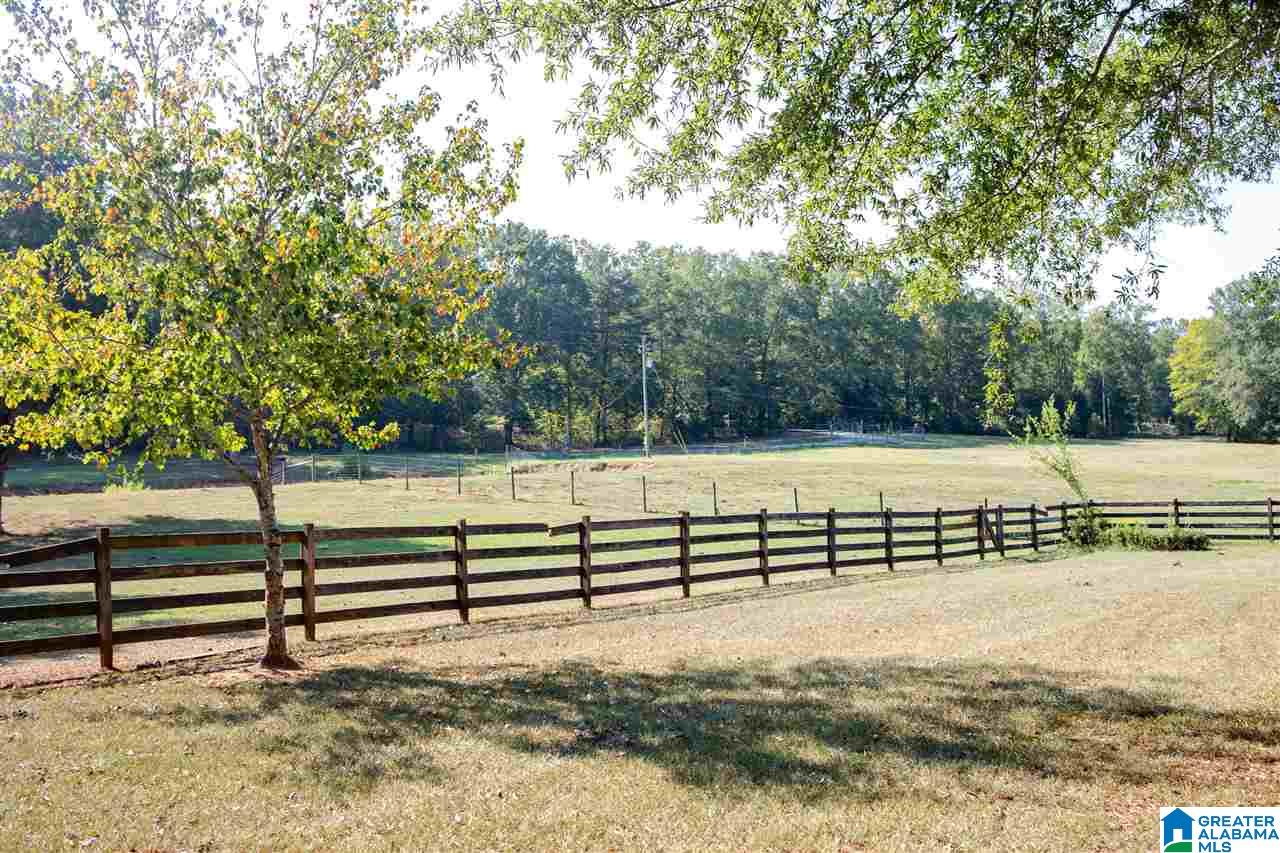 5955 Spring Creek Road Montevallo, AL 35115 - Photo 45 of 50