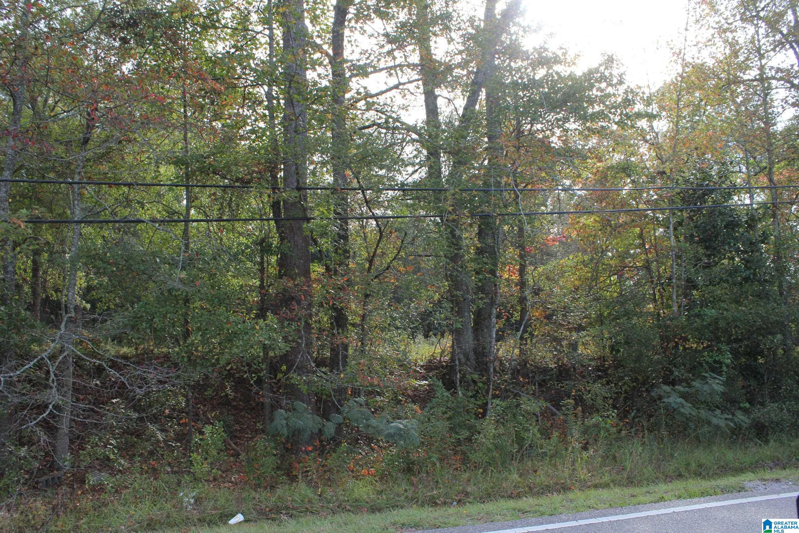 0 Highway 191 Jemison, AL 35085 - Photo 2 of 5