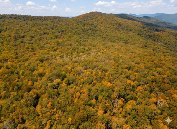 $435,000 | Tbd Halterman Holw Lane, Monterey, VA 24465