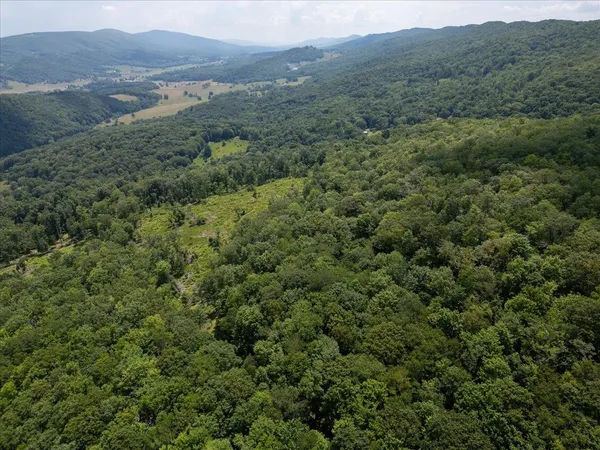 $435,000 | Tbd Halterman Holw Lane, Monterey, VA 24465