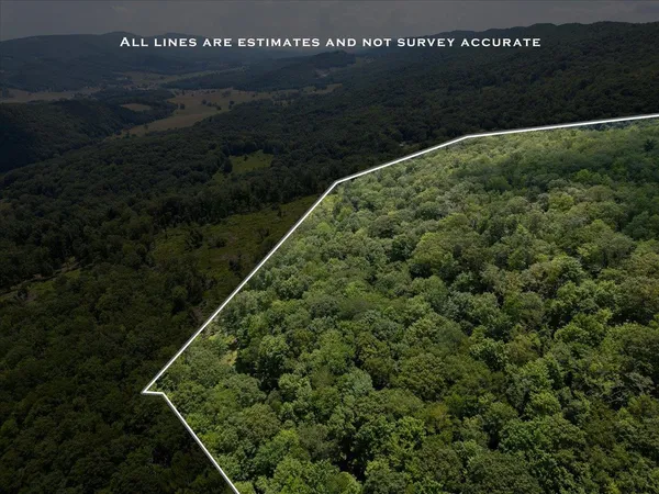 $435,000 | Tbd Halterman Holw Lane, Monterey, VA 24465