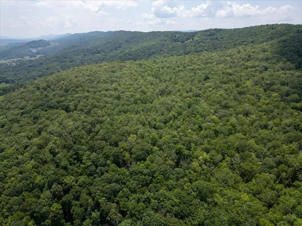 $435,000 | Tbd Halterman Holw Lane, Monterey, VA 24465