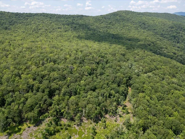 a view of a big yard with lots of green space and mountain view
