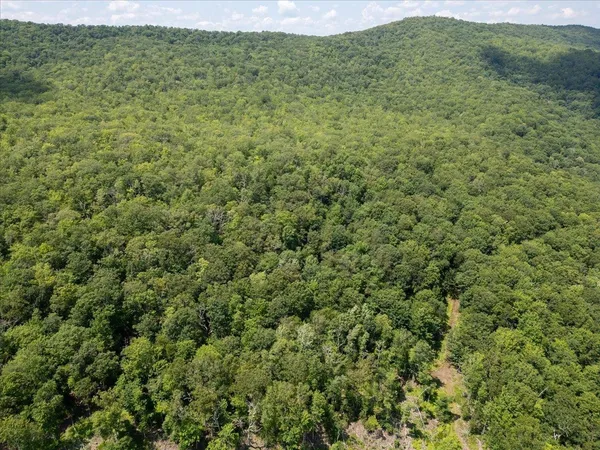 $435,000 | Tbd Halterman Holw Lane, Monterey, VA 24465