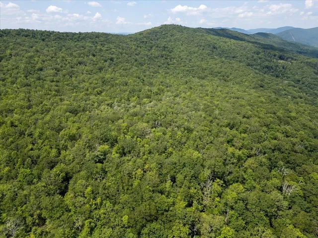 a view of a green field with lots of bushes