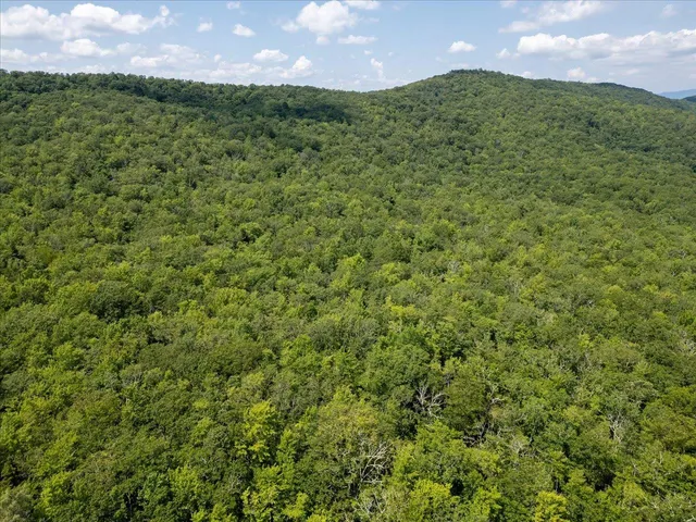 a view of a city and mountains