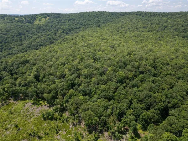 $435,000 | Tbd Halterman Holw Lane, Monterey, VA 24465