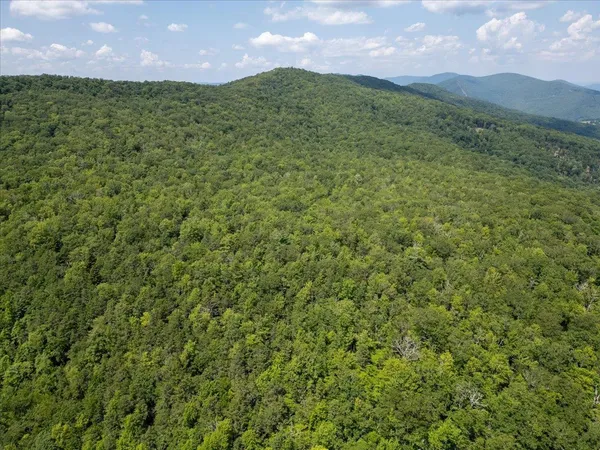 $435,000 | Tbd Halterman Holw Lane, Monterey, VA 24465