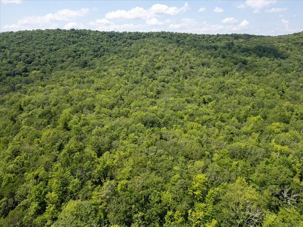 $435,000 | Tbd Halterman Holw Lane, Monterey, VA 24465
