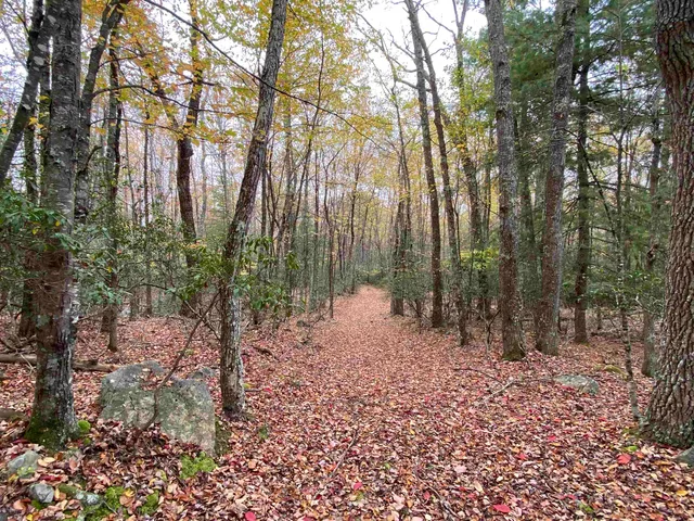 a view of a backyard of the house