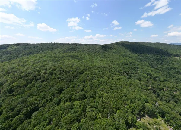 a view of a lush green space with sea