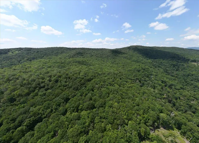 a view of a lush green space with sea