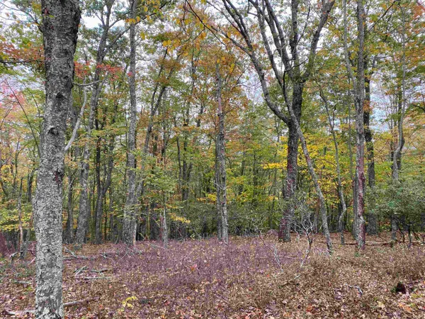 $435,000 | Tbd Halterman Holw Lane, Monterey, VA 24465