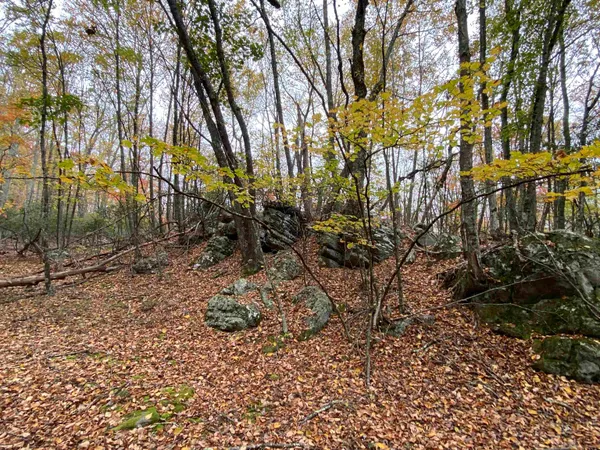 $435,000 | Tbd Halterman Holw Lane, Monterey, VA 24465