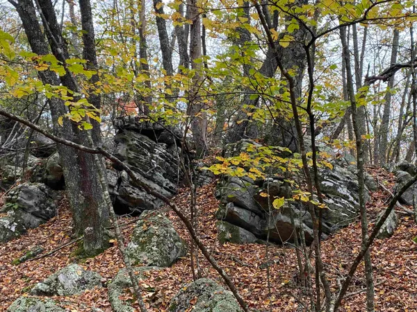 $435,000 | Tbd Halterman Holw Lane, Monterey, VA 24465