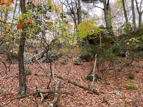 $435,000 | Tbd Halterman Holw Lane, Monterey, VA 24465