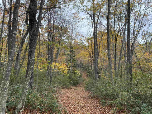 $435,000 | Tbd Halterman Holw Lane, Monterey, VA 24465