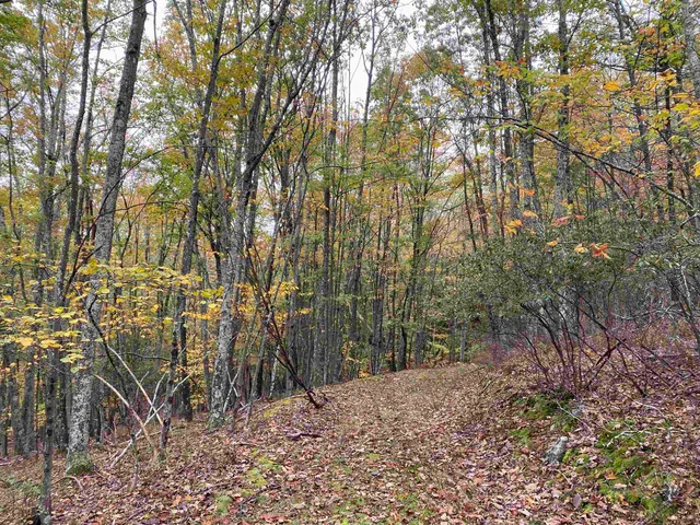 $435,000 | Tbd Halterman Holw Lane, Monterey, VA 24465