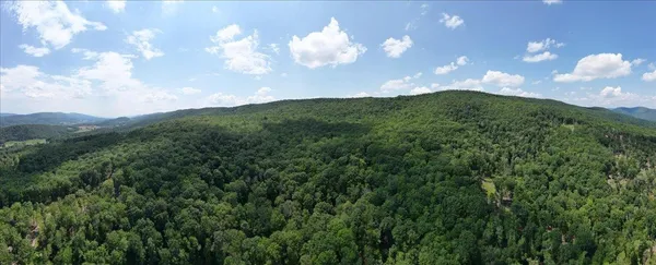 a view of a big yard with lots of green space and mountain view