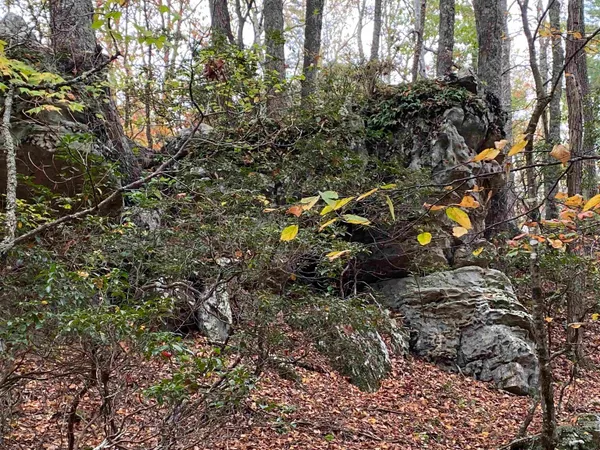 $435,000 | Tbd Halterman Holw Lane, Monterey, VA 24465