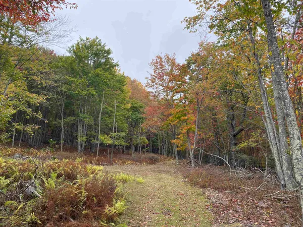$435,000 | Tbd Halterman Holw Lane, Monterey, VA 24465