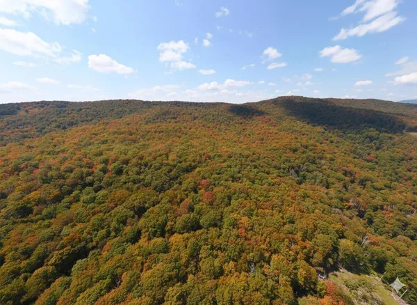 $435,000 | Tbd Halterman Holw Lane, Monterey, VA 24465