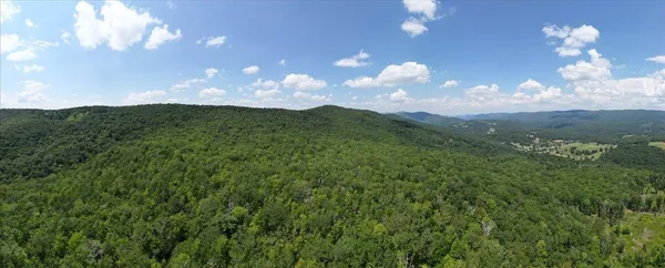 a view of a city with lots of green space