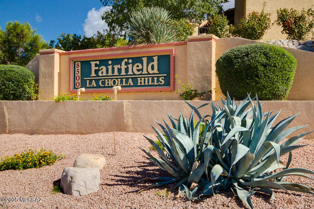 8665 North Coral Ridge Loop Tucson, AZ 85704 - Photo 33 of 38