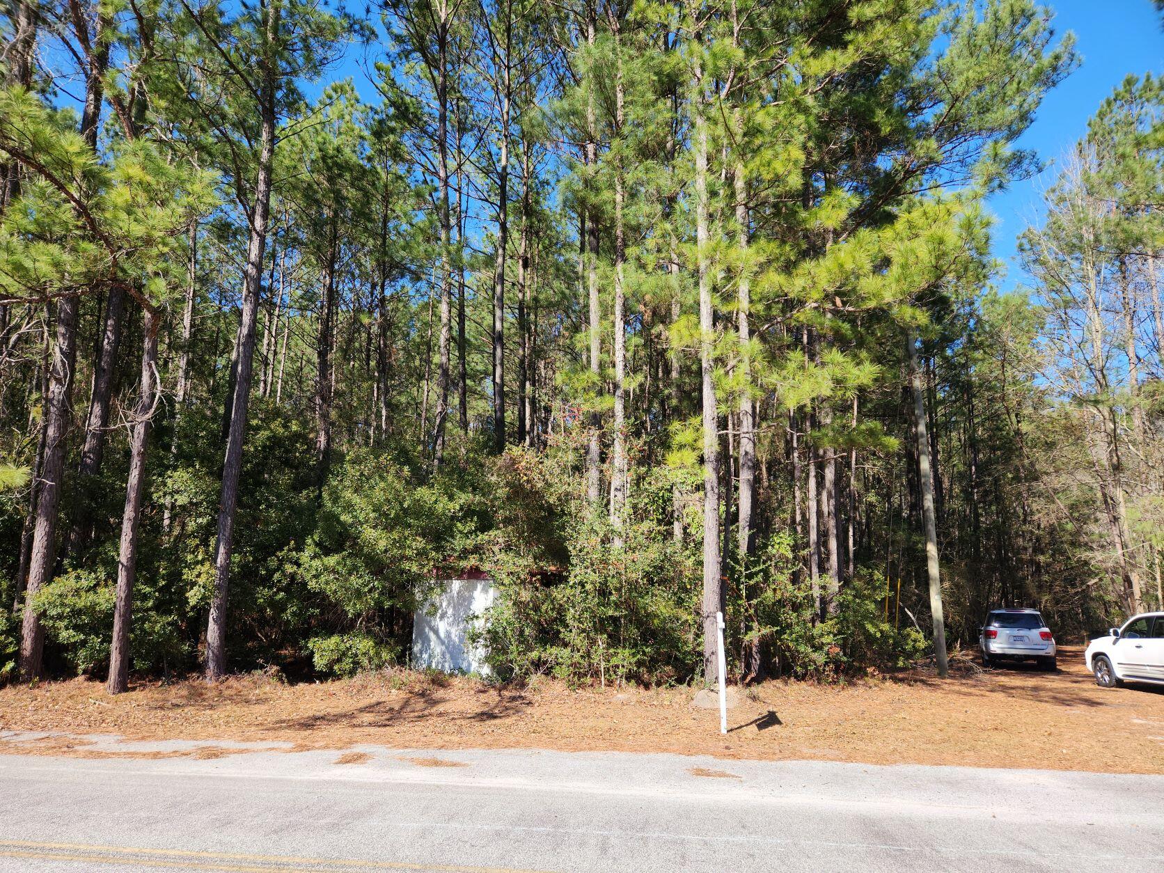 386 South Main Street, Unit LOT A Ridgeville, SC 29472 - Photo 8 of 9 20230206_133830