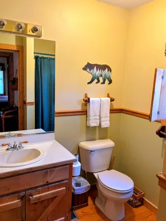a bathroom with a sink mirror vanity and toilet