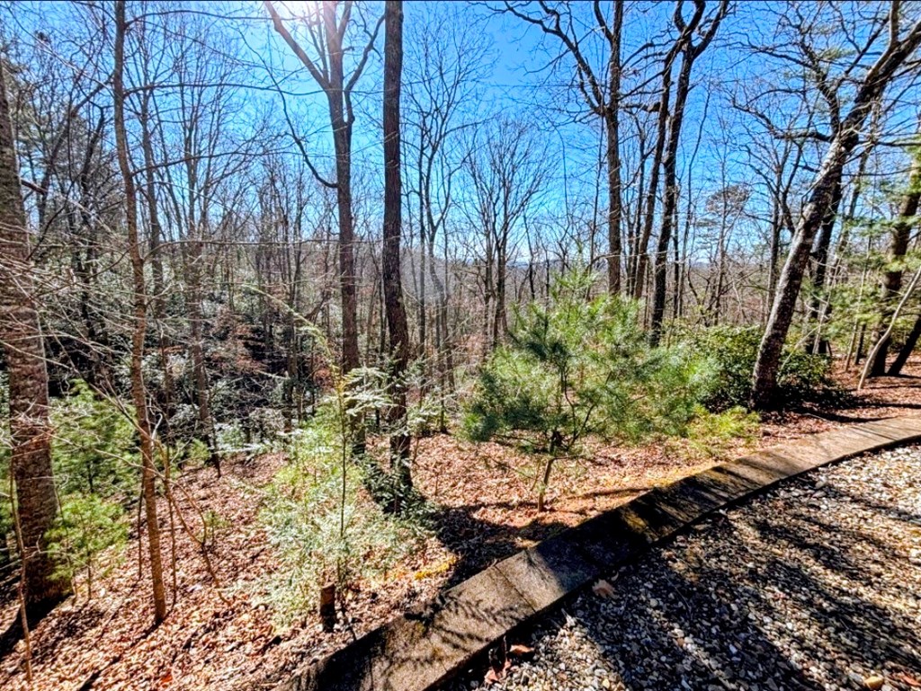 195 Justa Road Blairsville, GA 30512 - Photo 2 of 26