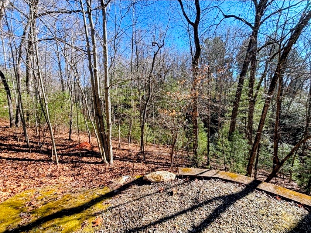 195 Justa Road Blairsville, GA 30512 - Photo 24 of 26