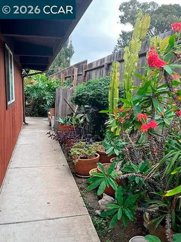 a view of a back yard of the house
