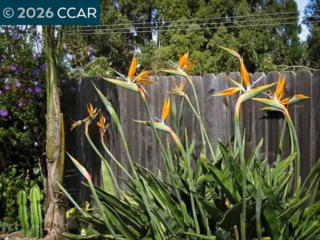 $629,000 | 362 Summit Court, Pinole, CA 94564