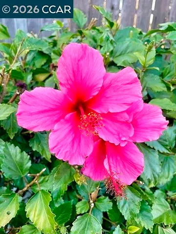 $629,000 | 362 Summit Court, Pinole, CA 94564