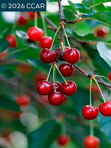 $629,000 | 362 Summit Court, Pinole, CA 94564