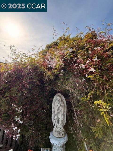 362 Summit Court Pinole, CA 94564 - Photo 49 of 57 a view of a painting of a tree