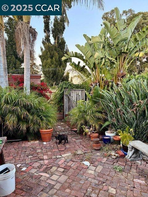 362 Summit Court Pinole, CA 94564 - Photo 54 of 57 a backyard of a house with lots of green space