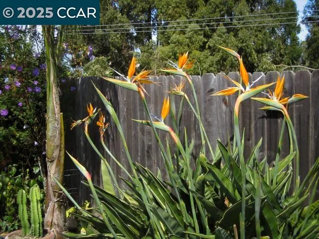 $629,000 | 362 Summit Court, Pinole, CA 94564