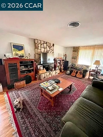 a close up of a plant