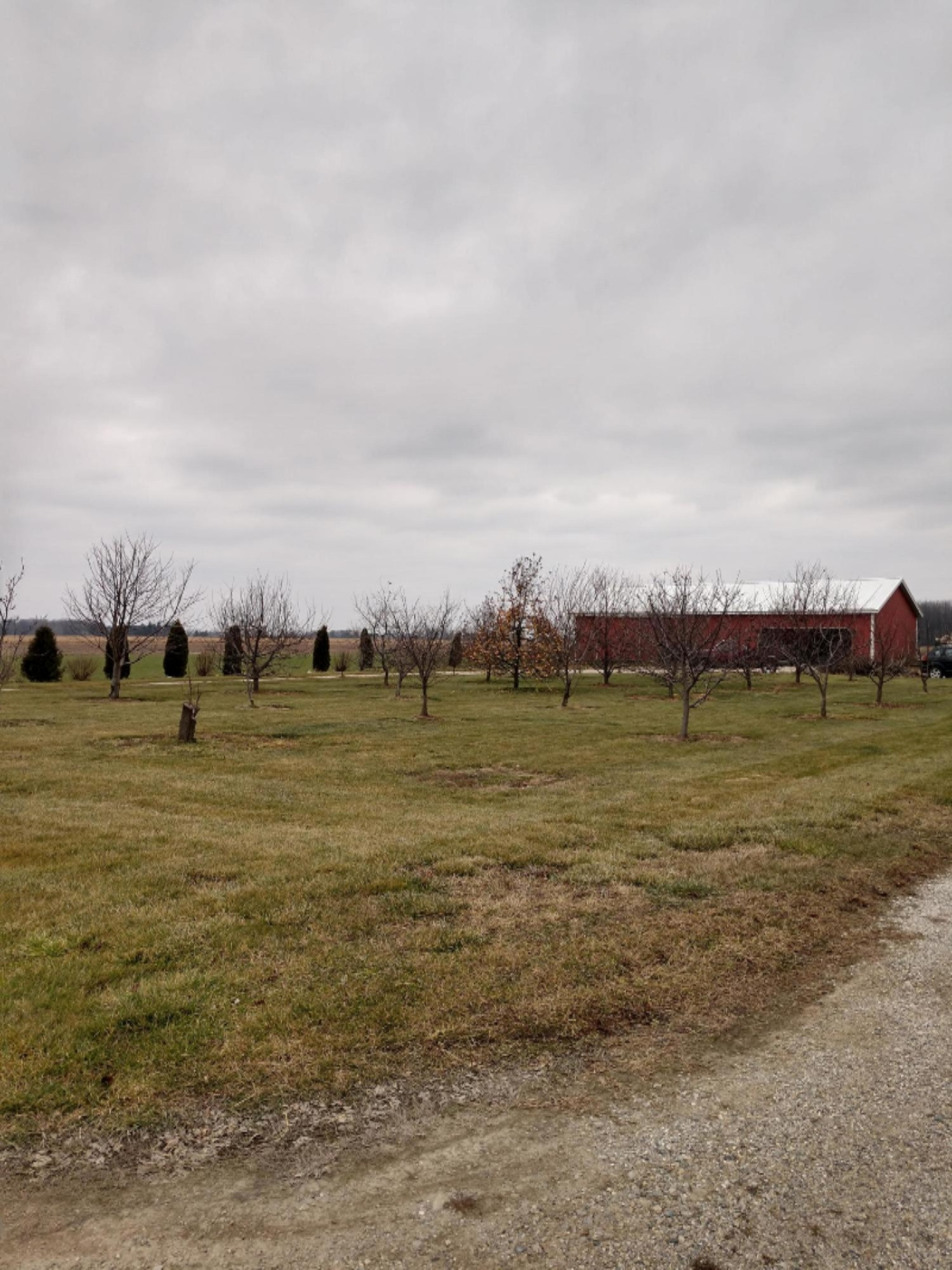 4918 West Grant Road Middleton, MI 48856 - Photo 21 of 22 Yard