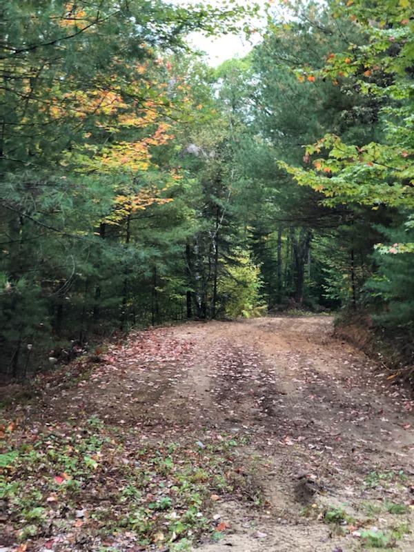 44b Christian Hill Road Lovell, ME 04051 - Photo 1 of 3 shep land driveway