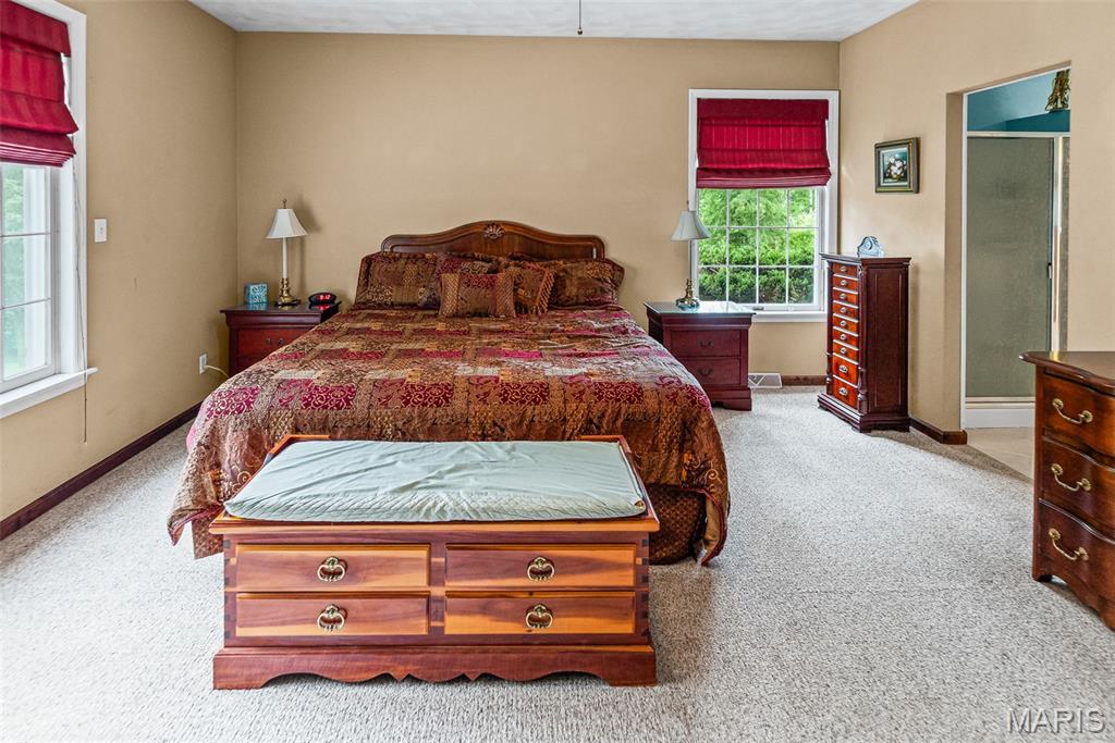 110 Fullerton Road Belleville, IL 62226 - Photo 35 of 57