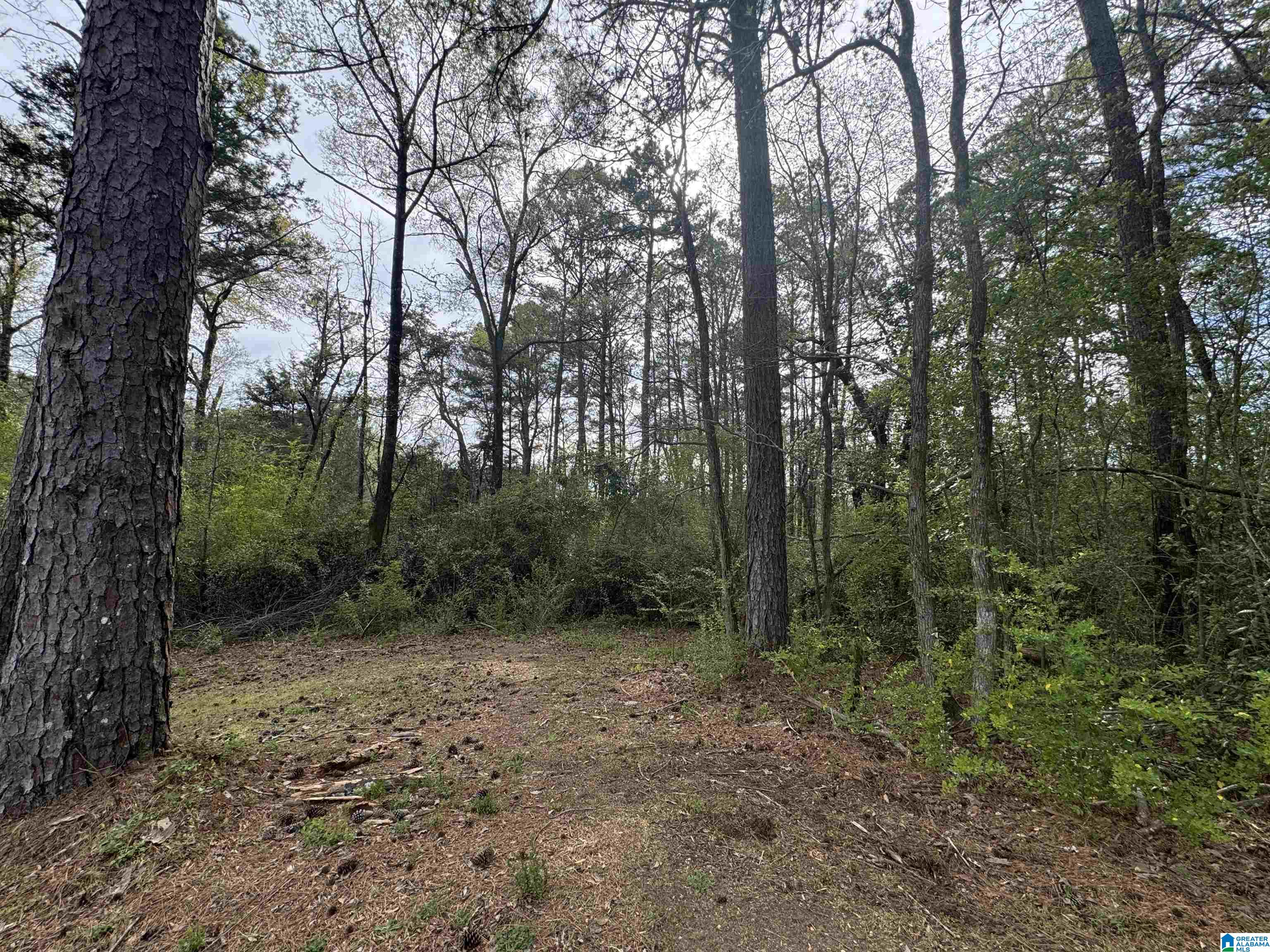 0 Ferry Road Columbiana, AL 35051 - Photo 5 of 7