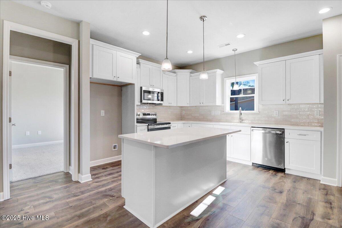 1760 Cardinal Drive Deep Run, NC 28525 - Photo 10 of 37 17-1760 Cardianl Dr-17