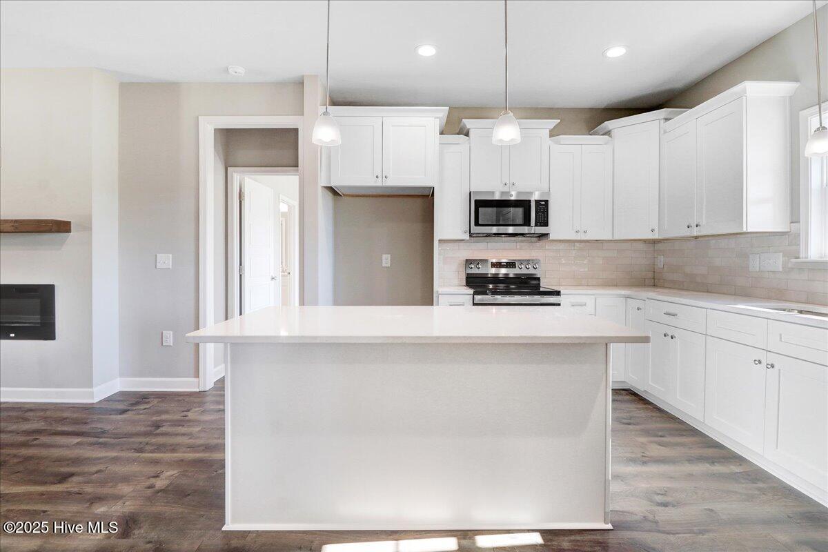 1760 Cardinal Drive Deep Run, NC 28525 - Photo 12 of 37 19-1760 Cardianl Dr-19