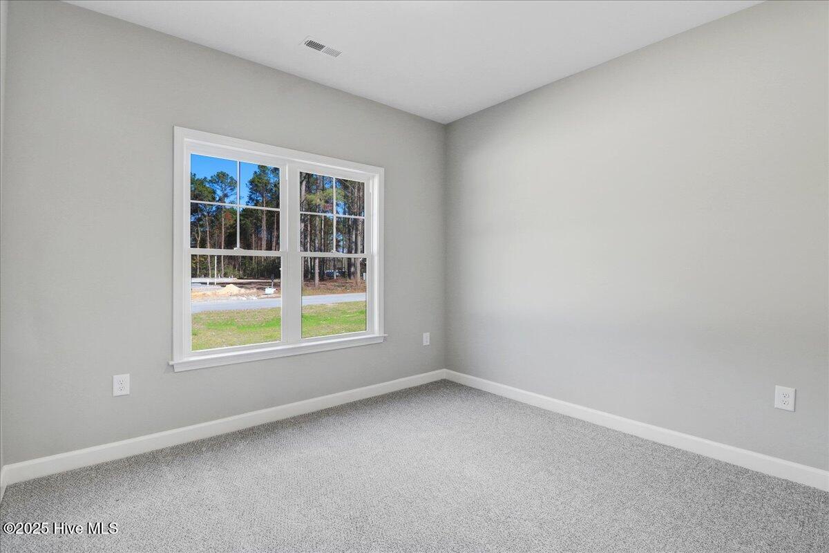 1760 Cardinal Drive Deep Run, NC 28525 - Photo 22 of 37 29-1760 Cardianl Dr-29