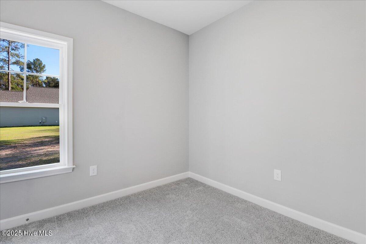 1760 Cardinal Drive Deep Run, NC 28525 - Photo 25 of 37 32-1760 Cardianl Dr-32