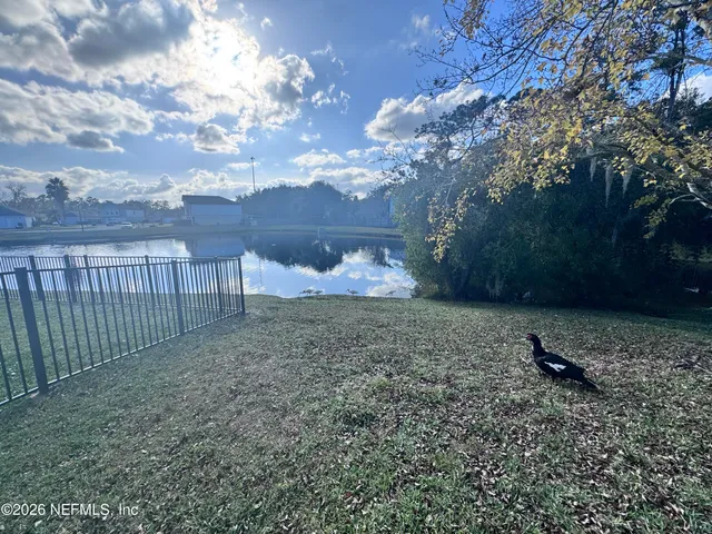a view of a backyard